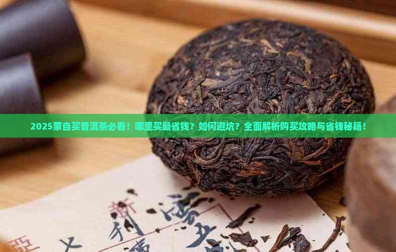 蒙自哪里可以买到普洱茶