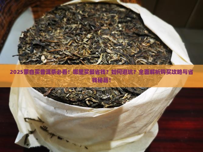 蒙自哪里可以买到普洱茶