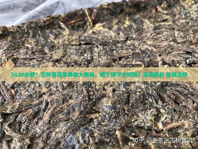 吉林普洱茶哪个牌子好喝