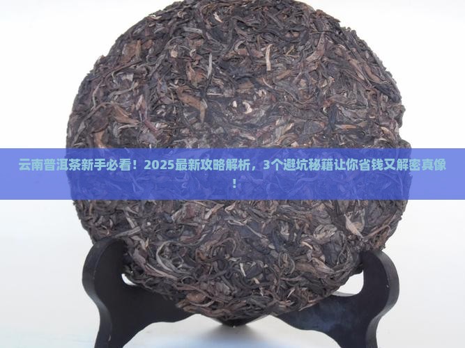 云南普洱茶信息