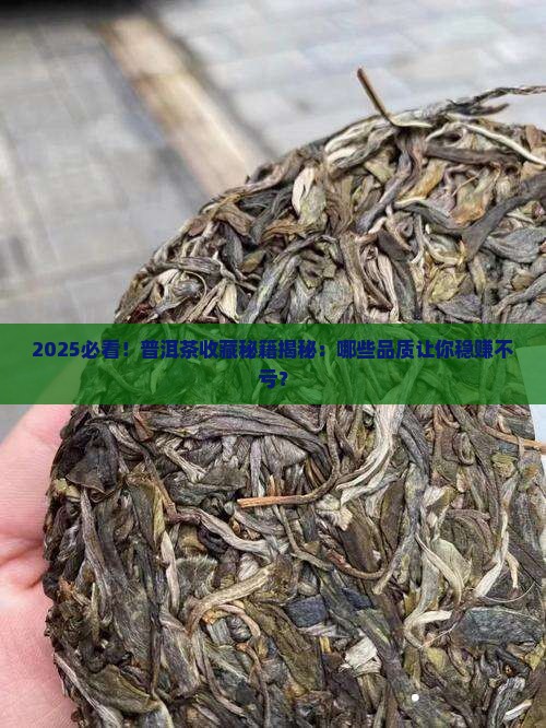 什么品质的普洱茶适合购买藏