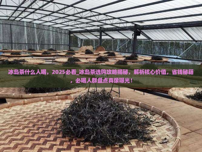 冰岛茶什么人喝