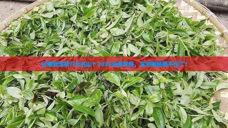 云南普洱茶有几大名山