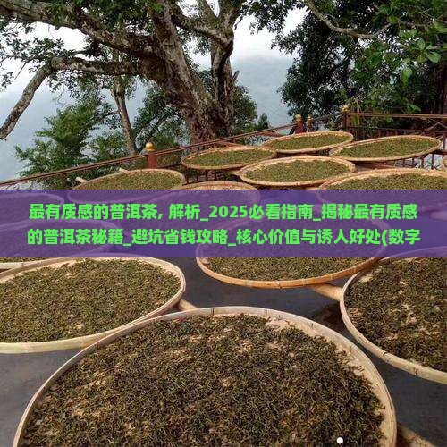 最有质感的普洱茶 最有质感的普洱茶