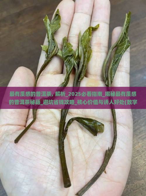 最有质感的普洱茶 最有质感的普洱茶