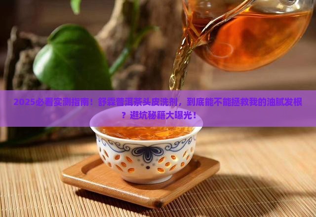 舒霖普洱茶头皮洗剂