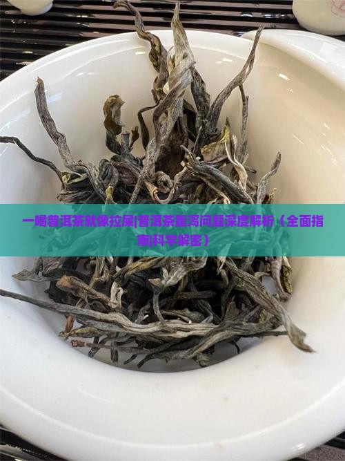 一喝普洱茶就像拉屎