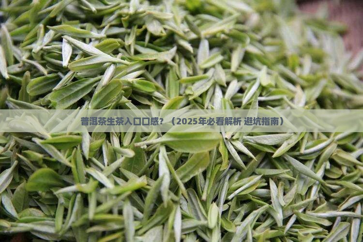 普洱茶生茶入口口感