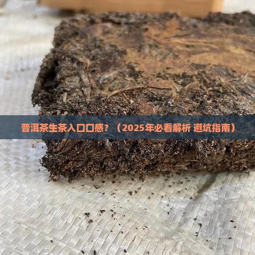 普洱茶生茶入口口感