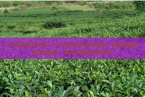 86年老班章茶砖