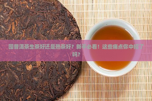 囤普洱茶生茶好还是熟茶好
