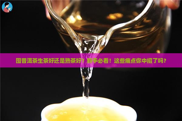 囤普洱茶生茶好还是熟茶好