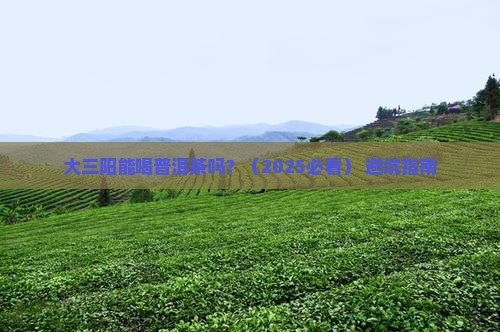 大三阳可以喝普洱茶么