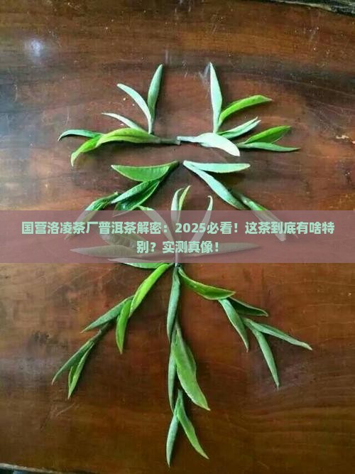 国营洛凌茶厂普洱茶