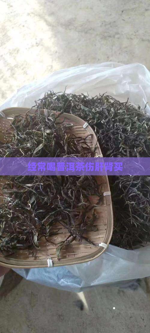经常喝普洱茶伤肝肾买