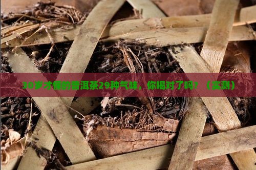 普洱茶29种气味
