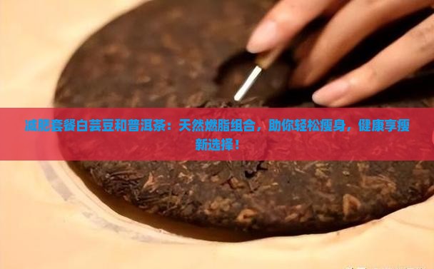 减肥套餐白芸豆和普洱茶