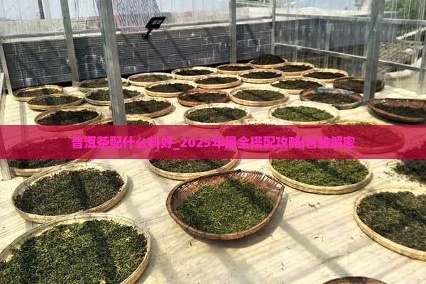 普洱茶配什么料好