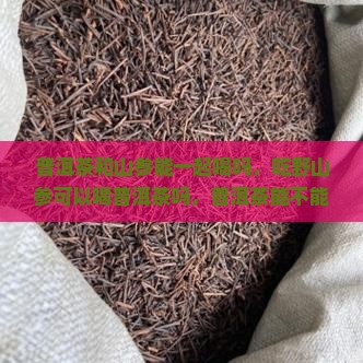 普洱茶和山参能一起喝