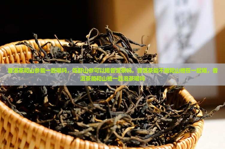 普洱茶和山参能一起喝