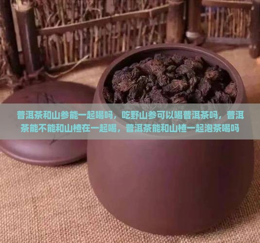 普洱茶和山参能一起喝