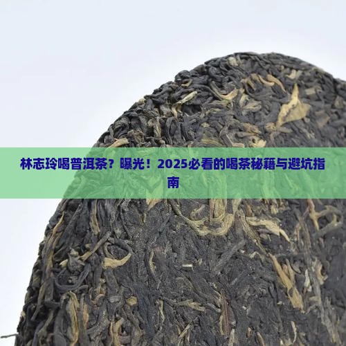 林志玲喝普洱茶