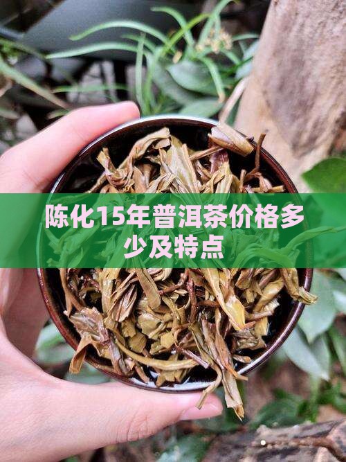 陈化15年普洱茶特点及价格