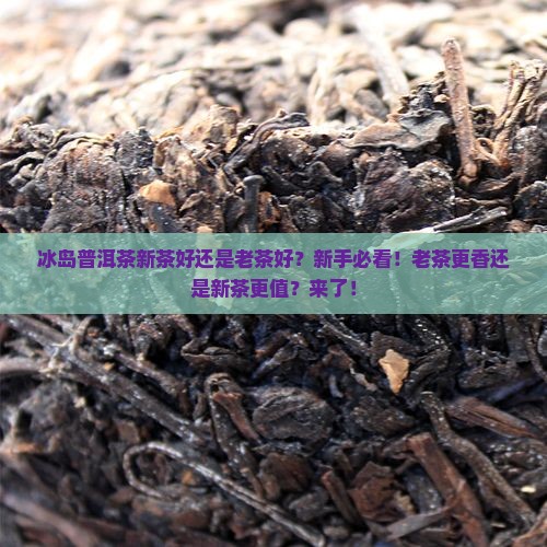 冰岛普洱茶新茶好还是老茶好