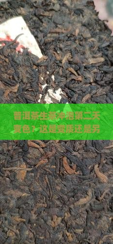 普洱茶生茶冲泡第二天变色