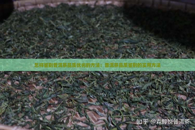 怎样鉴别普洱茶品质优劣的方法