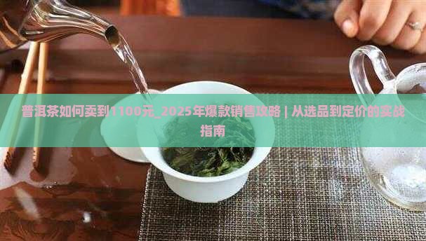 普洱茶如何卖到1100元