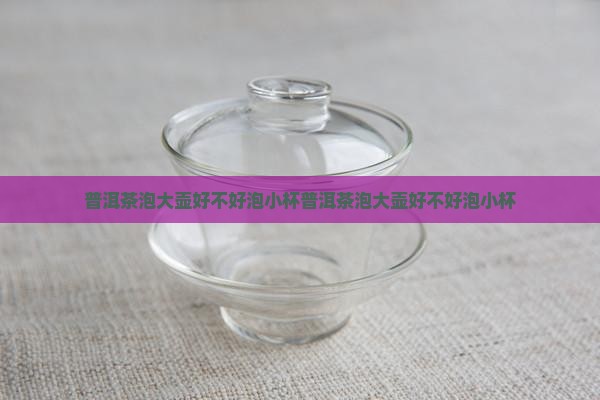 普洱茶泡大壶好不好泡小杯