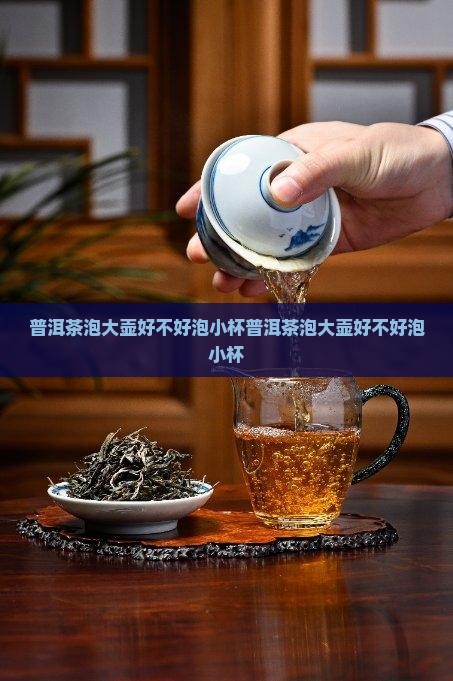 普洱茶泡大壶好不好泡小杯