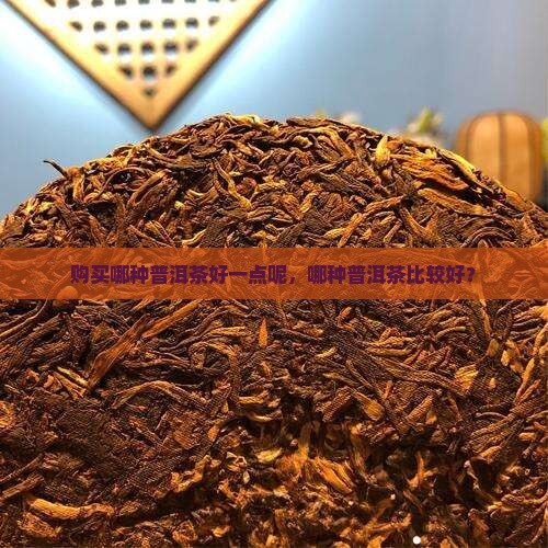 购买哪种普洱茶好一点呢