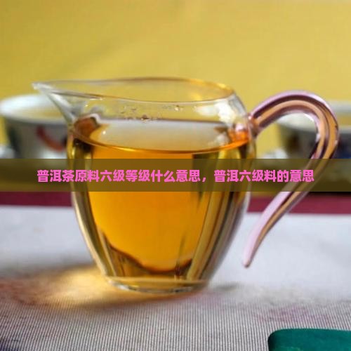 普洱茶六级料什么意思