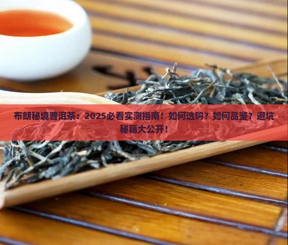 布朗秘境普洱茶