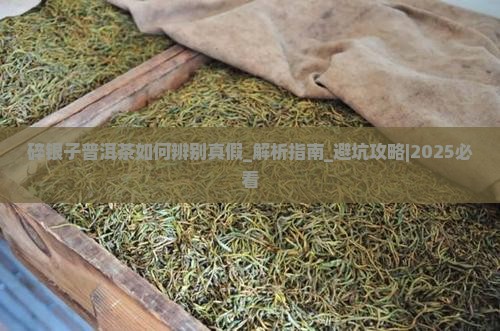 碎银子普洱茶如何辨别真假