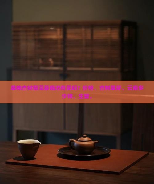 单株古树普洱茶临沧