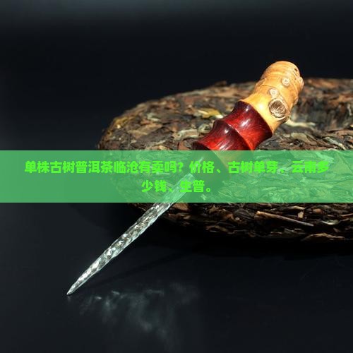 单株古树普洱茶临沧