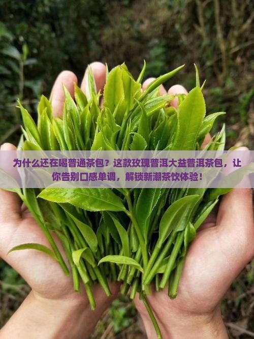 玫瑰普洱大益普洱茶包