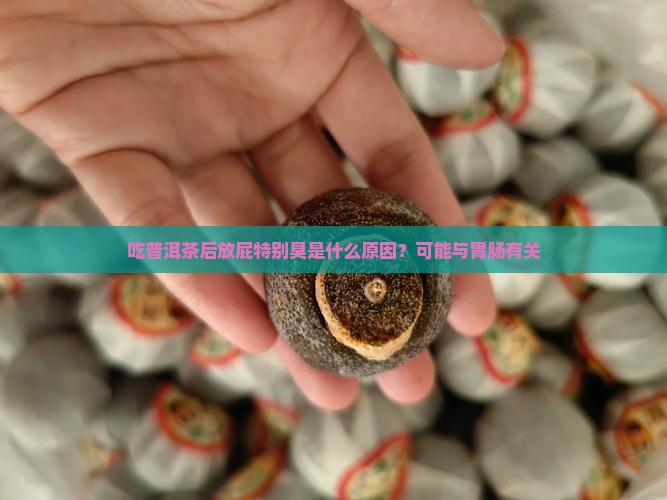 吃普洱茶后放屁特别臭正常吗