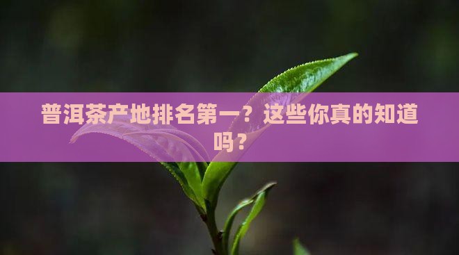 普洱茶产地排名第一