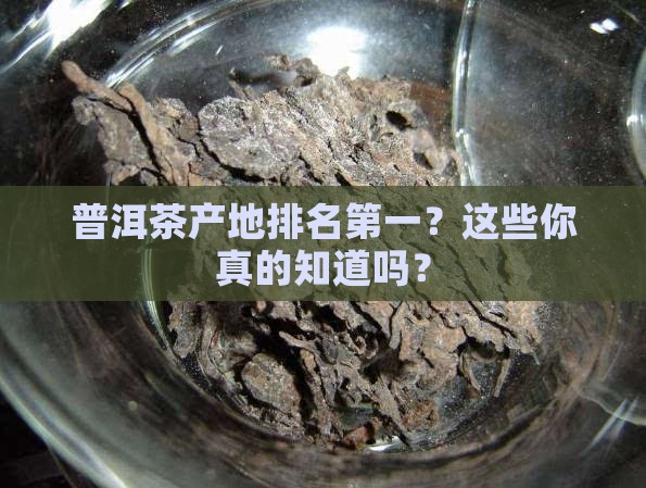 普洱茶产地排名第一