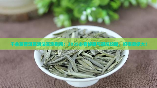 千金藤普洱茶怎么泡才好喝
