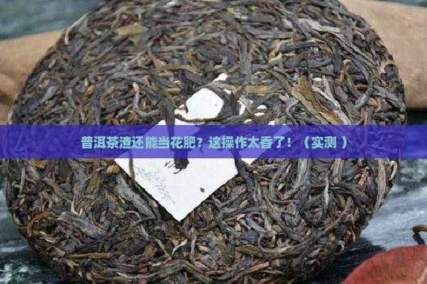 普洱茶渣能做花肥吗