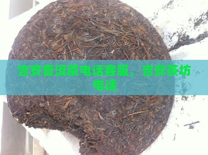 吉安普洱茶电话