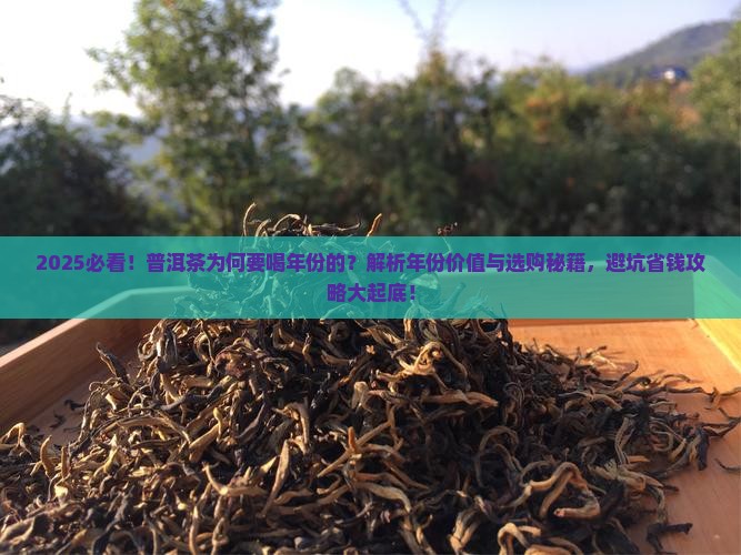 为什么普洱茶要喝年份的