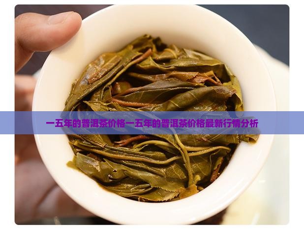 一五年的普洱茶价格