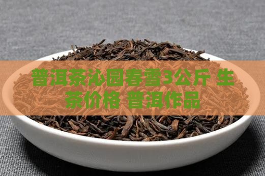 普洱茶沁园春雪3公斤