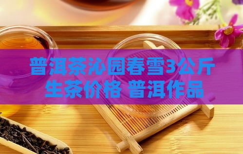 普洱茶沁园春雪3公斤